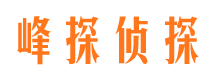 武川侦探公司